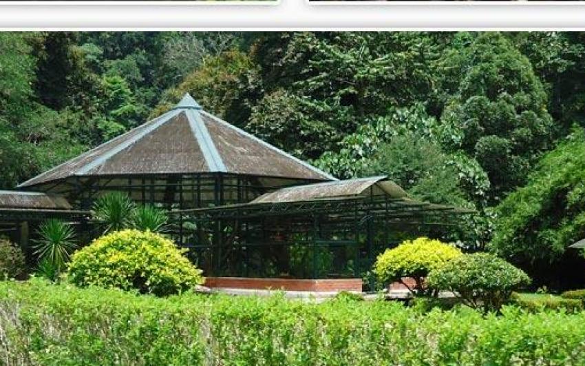 حديقة ومحمية بينانج الوطنية