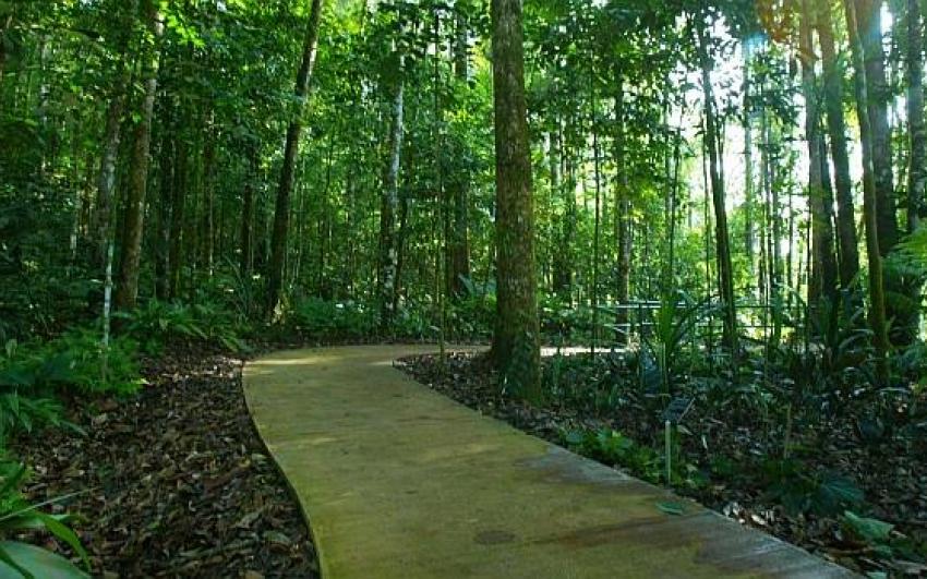  معهد ماليزيا لأبحاث الغابات (FRIM)