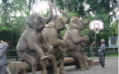 حديقة الحيوانات الوطنية  - في ماليزيا